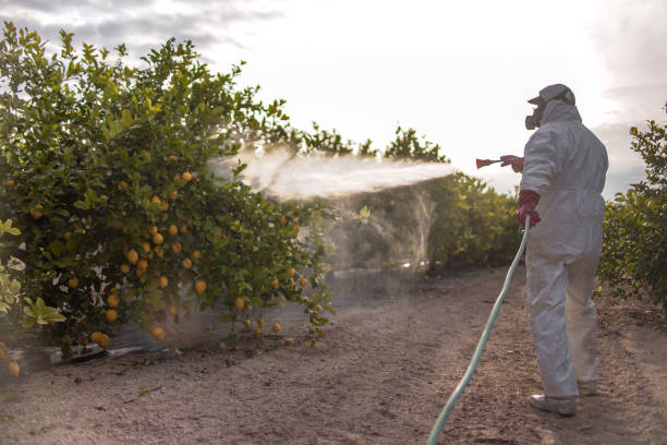Best Pest Inspection Near Me  in Round Rock, TX
