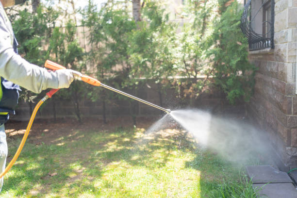 Best Pest Control Near Me in Round Rock, TX
