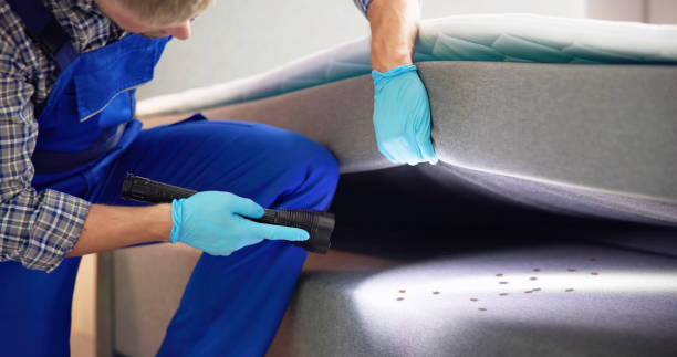 Best Termite Control Services  in Round Rock, TX