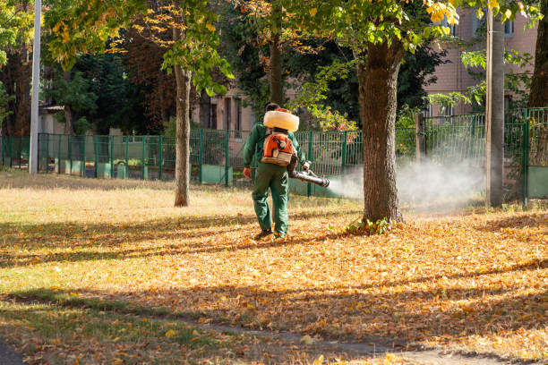 Best Bed Bug Extermination  in Round Rock, TX